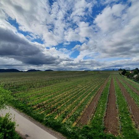 Weinseelig14 Landau in der Pfalz Eksteriør billede