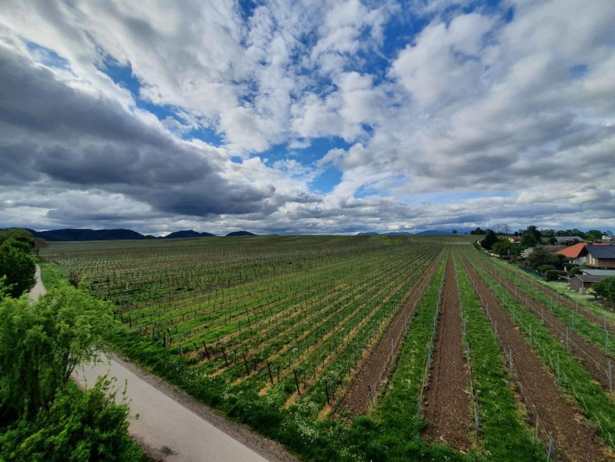 Weinseelig14 Landau in der Pfalz Eksteriør billede